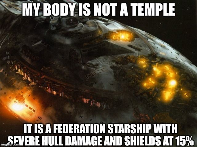 My body is not a temple. It is a Federation starship with severe hull damage and shields at 15%.