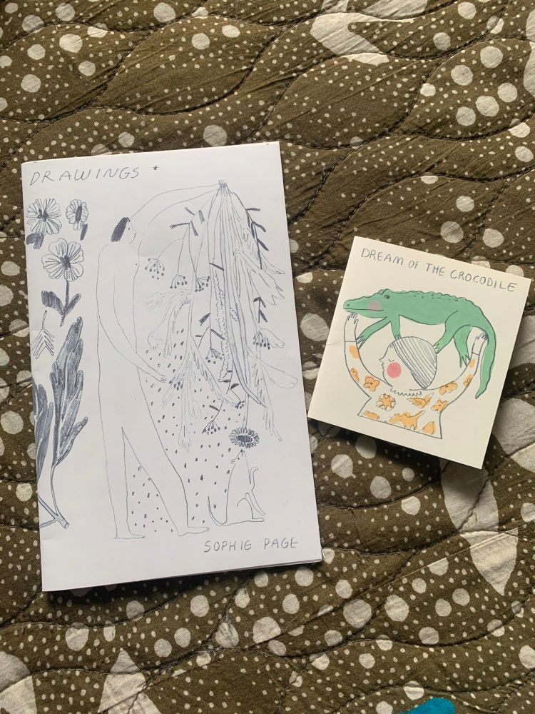 a drawings compilation zine and dream of the crocodile mini from @ladlegull.bsky.social 