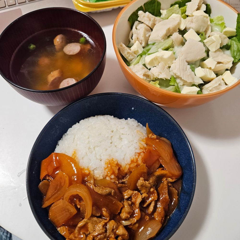 コンソメスープ
ハヤシライス
サラダ
