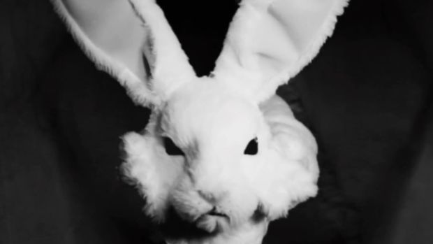 White bunny face