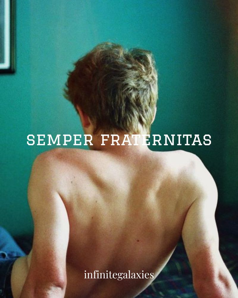 semper fraternitas infinite galaxies

"portrait of a white man's back. he is leaning back on his hands while sitting on a bed with a plaid blanket facing a green wall. he has light brown hair and a farmer's tan."
