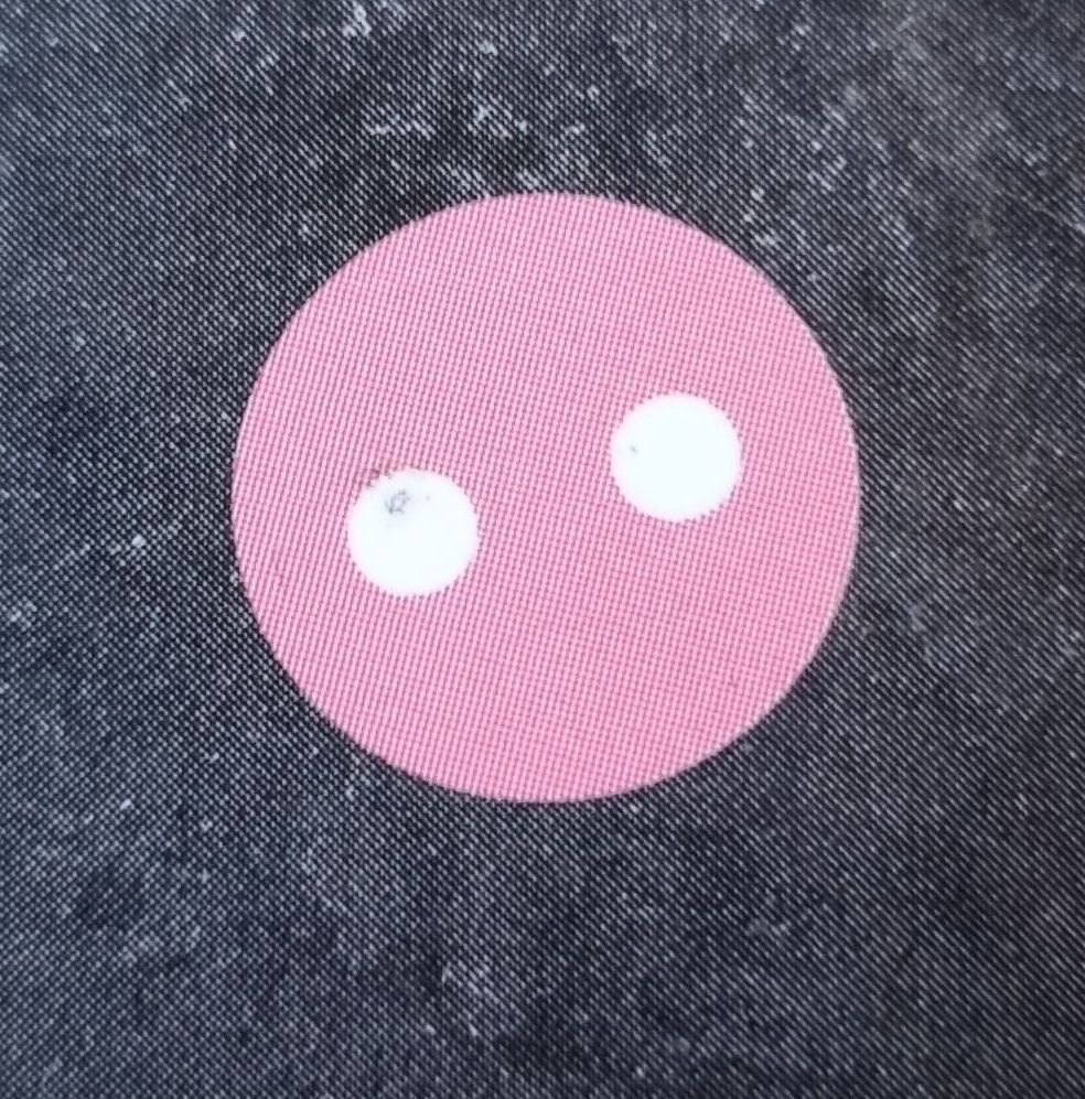 Bild einer stilisierten Schweinsnase