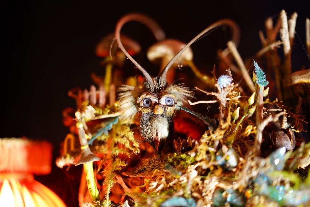 Steampunk Transylvania Cluj-Napoca 

Zu sehen ist ein halb Insekt halb nicht zu identifizierendes Männchen mit weit aufgerissenen Augen und Fühlern