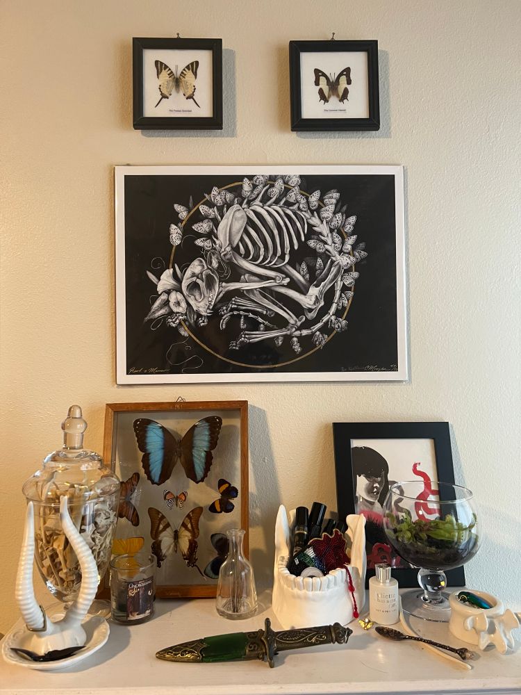 A display of objects on a shelf. From left to right: a porcelain ring holder in the shape of two horns; an apothecary jar with glass lid filled with bones; a small glass votive candle with the label “uncrossing” on it, a spell; a glass butterfly display leaned against the wall; a bottle of shed cat whiskers; a plaster jaw trinket holder filled with travel-sized perfumes, a beaded crying eye brooch, a beaded anatomical heart brooch with blood tassels dripping over the side, and just barely peeking up over the jaw’s teeth- a large googly eye; a sheathed dagger with green scabbard; a tiny gold bat pin; a bottle of Juliette has a gun perfume called “Nit A Perfume”; a raccoon rib bone and a spoon; a Venus fly trap in open apothecary jar; a vertebrae candle holder with a beetle pin; a Stasia Burrington print. On the wall is a print of a cat skull surrounded by butterflies labeled “Root & Marrow” by the artists Zoe Keller and Christina Mrozik; two small pinned butterfly frames