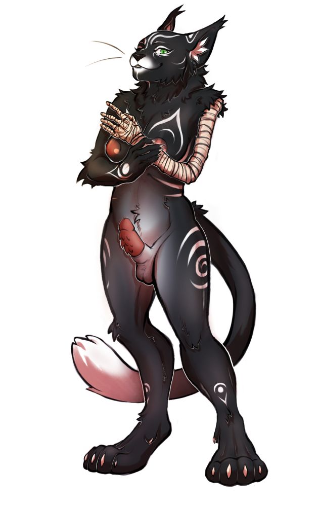 Valyah, a female catfolk. She is standing naked, with her left arm bandaged. She has black fur with white markings and a lighter colored belly as well as a her tail becoming white towards the tip. She has an erect, barbed cock.
Art by CanineCrypt.