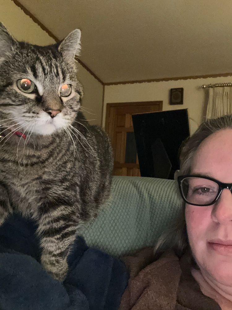 Tabby cat standing next to woman with glasses looking less than amused. 