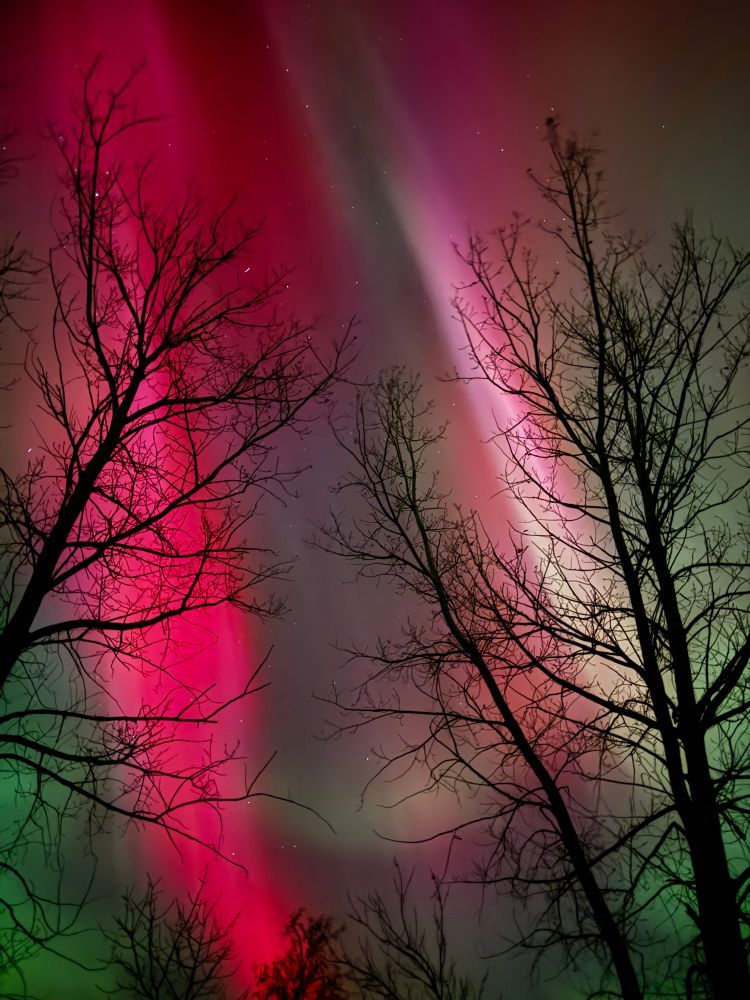 Northern lights