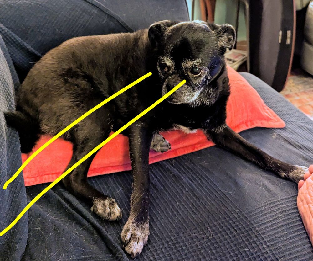 Astrid acts, using her laser-eye ability to destroy her for (a black chug dog stares off screen at Wosa. *Someone* has drawn yellow laser beams coming out of her eyes, directed at Wosa.