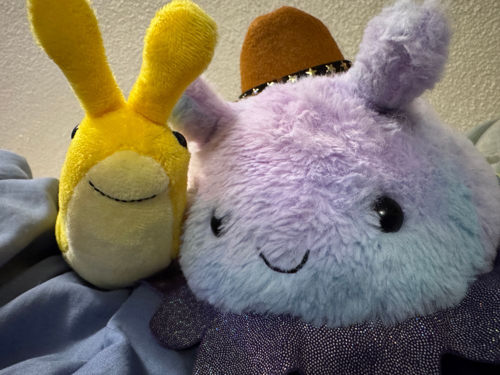 A banana slug stuffie posing next to Rootie the sea slug