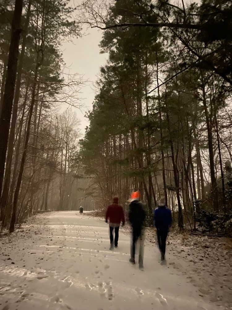 3 figures walk through a snow covered wood 