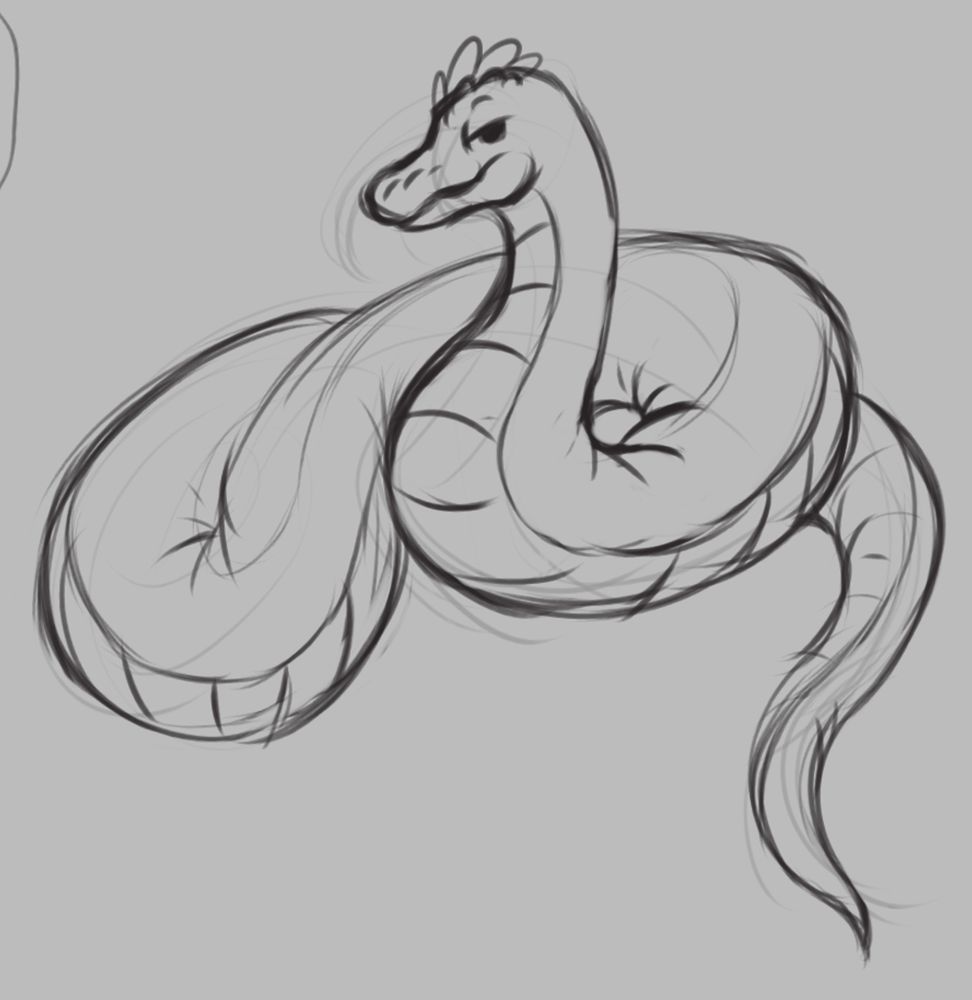 Smug snake lounging around