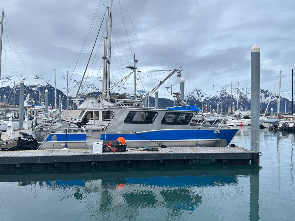 Another 34x12 cat “optimist”