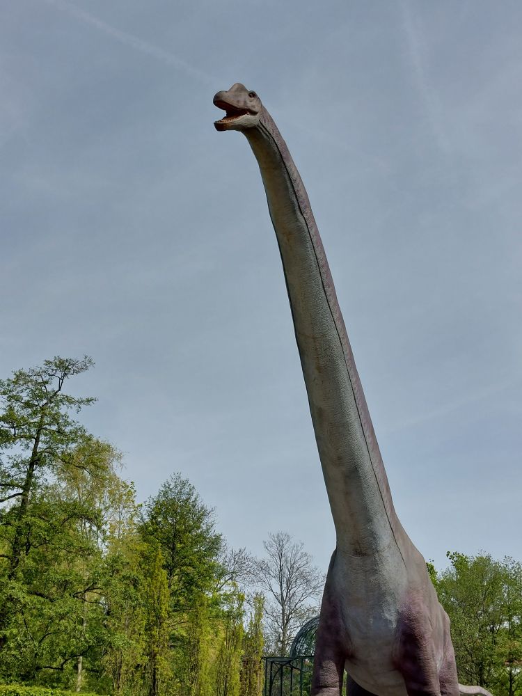 Lebensgroßes Modell eines Brachiosaurus, im Hintergrund Laubbäume und blassblauer Himmel 