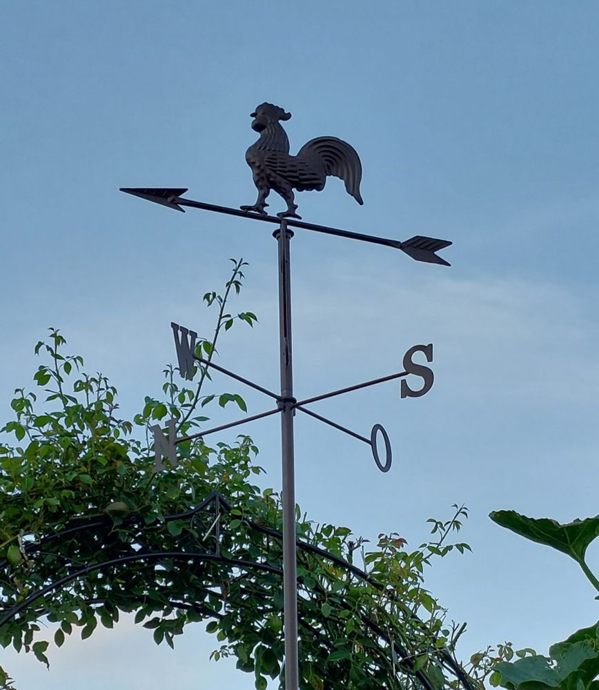 Über einen Rosenbogen ragt eine Wetterfahne in dem blassblauen Himmel Es ist ein schreitender Hahn auf einem Pfeil mit einem Kreuz der Himmelsrichtungen ein Stück darunter.