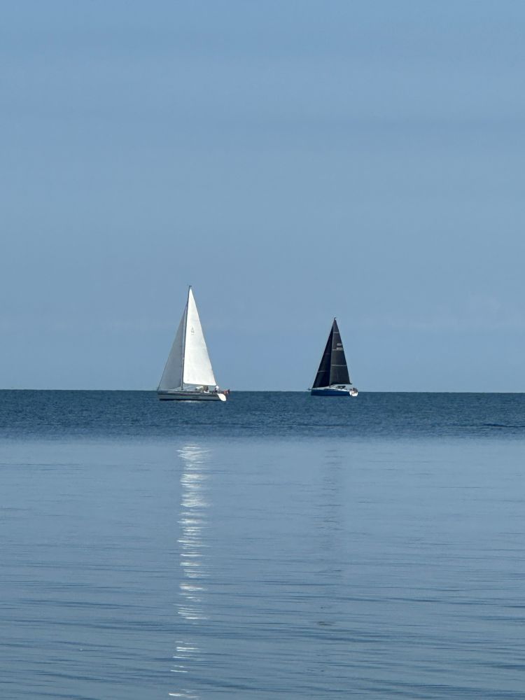Ein weißes und ein schwarzes Segelboot auf dem ruhigen Meer