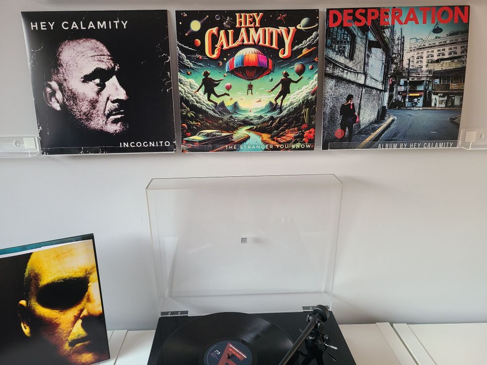 Vinyl record 