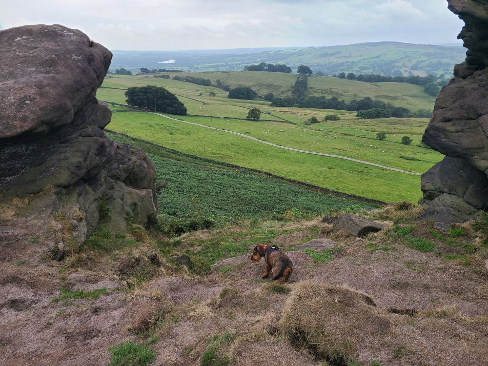 The Roaches 