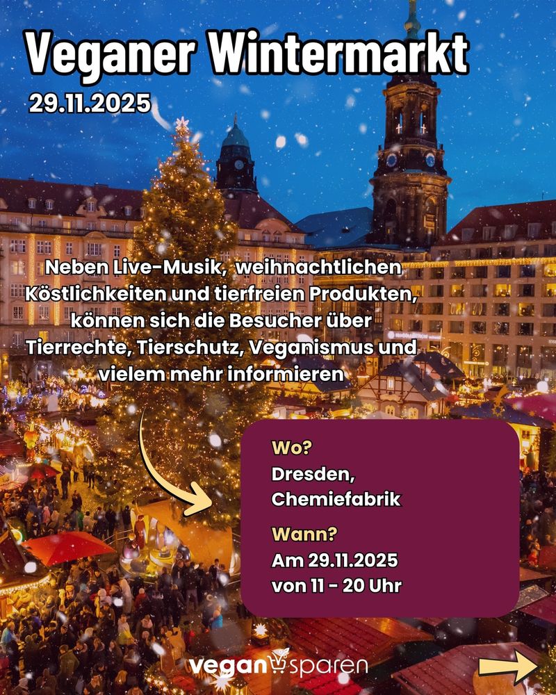 Ein weiteres Plakat informiert über einen veganen Wintermarkt am 29. November 2025 in der Chemiefabrik in Dresden. Besucher erwarten Live-Musik, weihnachtliche Leckereien und tierfreie Produkte. Zudem gibt es Informationen zu Tierrechten, Tierschutz und Veganismus. Der Markt ist von 11 bis 20 Uhr geöffnet. Eine beleuchtete Weihnachtsbaum-Installation und eine fröhliche Menschenmenge auf dem Marktplatz vermitteln eine vorweihnachtliche Stimmung.