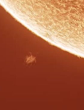 Photo of sun’s limb with a bright feature that looks like a bug