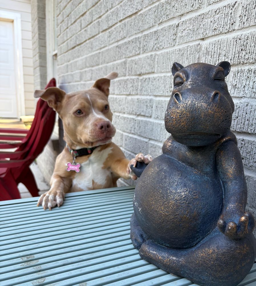 Dog and hippo statue 