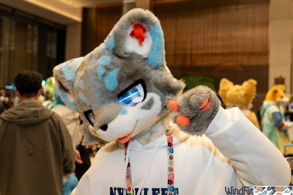 初来乍到，嗨～