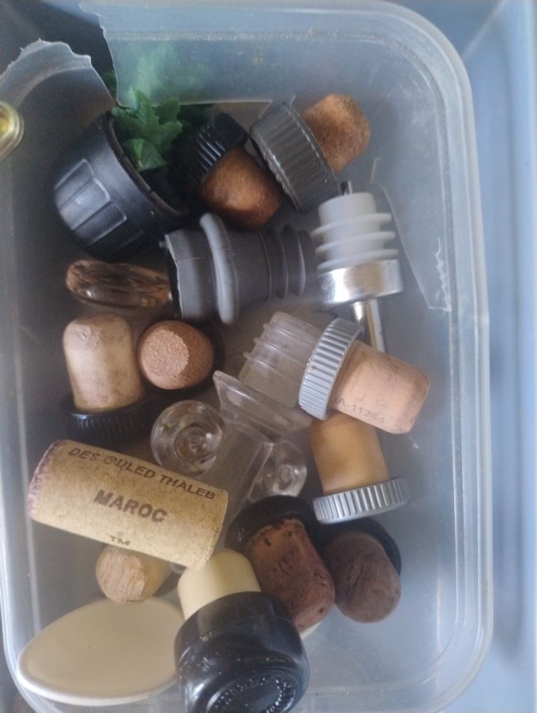 Picture of a take away plastic container full of various corks cos mf said corcs