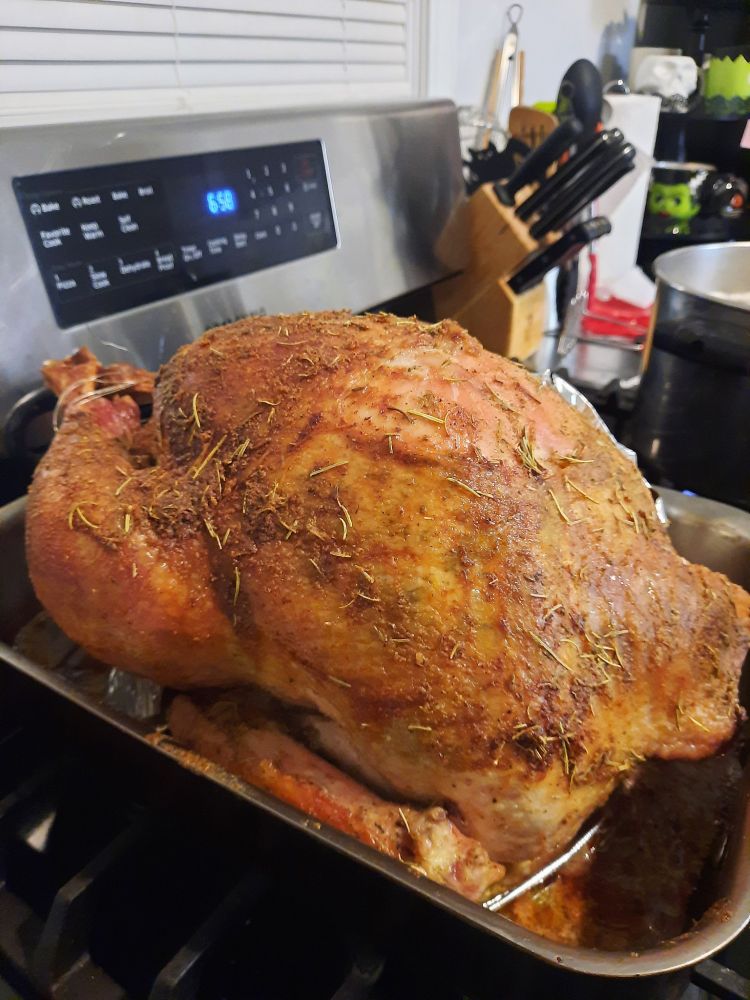 the results of cooking my first turkey.