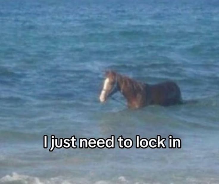 A pictures of a bay colored horse standing in the waves on the beach, overlayed with the text "I just need to lock in" 
