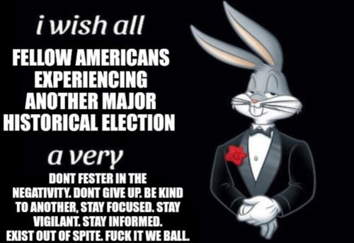 The buggs bunny meme of "I wish all a very." It says "I wish all fellow Americans experiencing another major historical election a very don't fester in the negativity. Don't give up. Be kind to another, stay focused. Stay vigilant. Stay informed. Exist out of spite. Fuck it we ball."