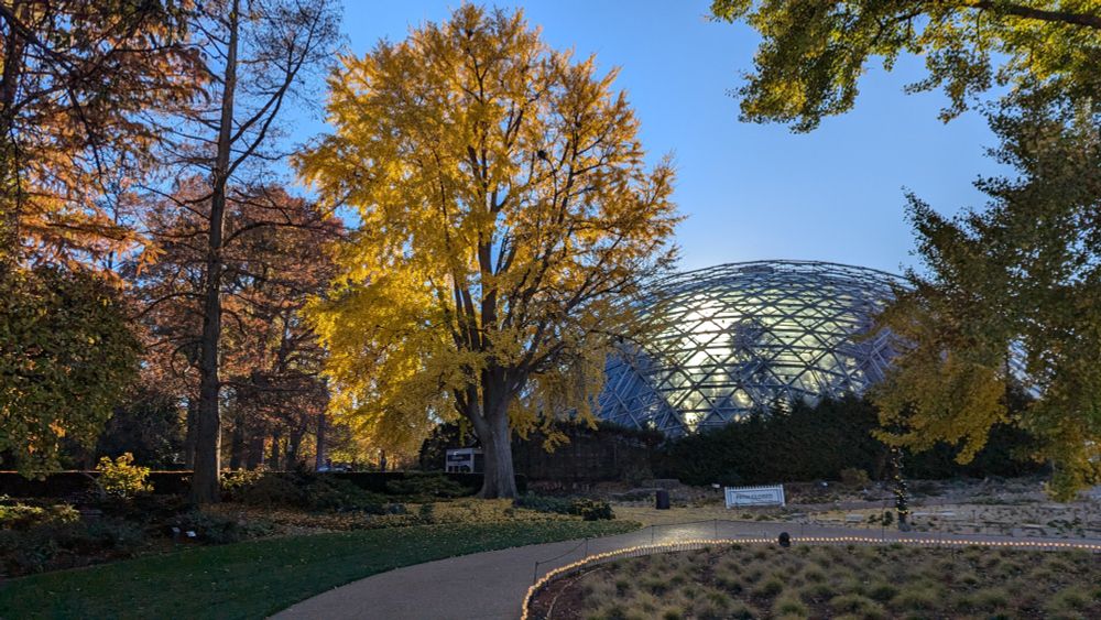 The setting sun behind the Climatron dome.