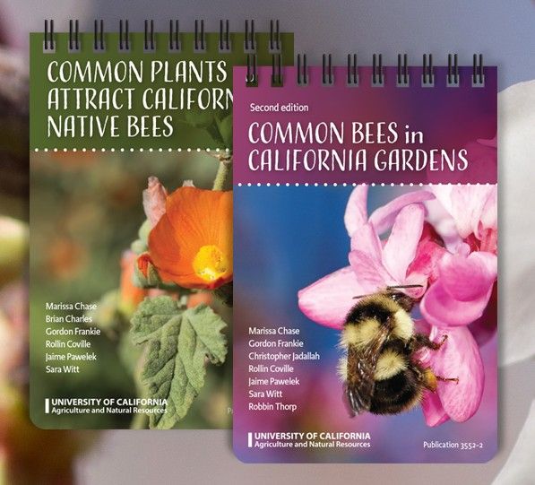 images of two UC ANR ID card covers: Common Bees and Common Plants