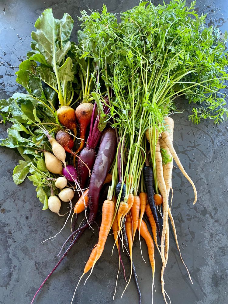 photo of root vegetables