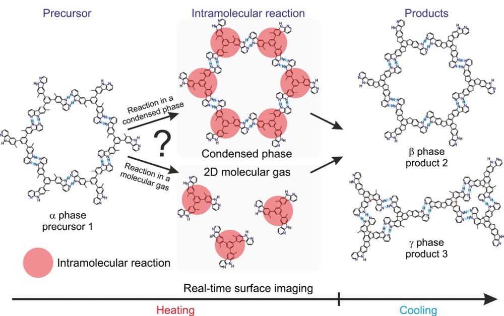 Chemical reaction scheme - LEEM allows to monitor the surface in real time
