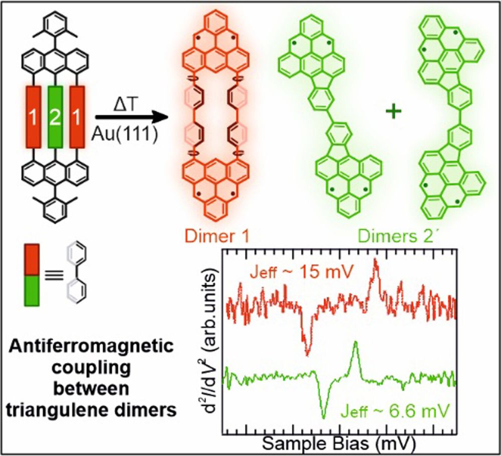 Triangulene dimers linked by one or two para-biphenyl units were synthesized on Au(111). STM, non-contact AFM, and scanning tunneling spectroscopy measurements reveal an open-shell singlet magnetic exchange coupling for Dimer 1 (ES-T=15 mV), influenced by the dihedral angles of the two para-biphenyl units. Dimers 2′ with an ES-T=6.6 mV were obtained from a more flexible precursor equipped with one para-biphenyl linker.