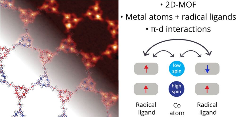 STM image of 2D MOF with schematic illustrating magnetic coupling between Co atoms and radical ligands.