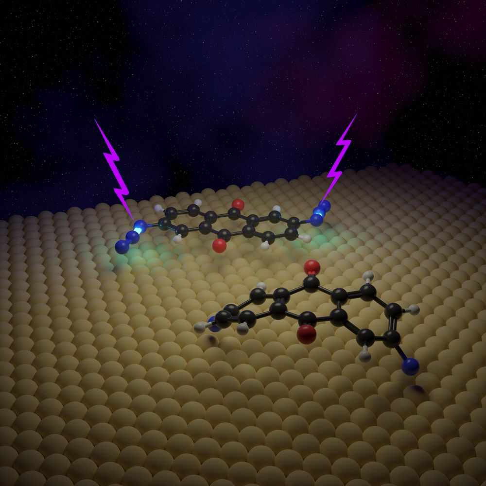 we report the formation of a stable, surface-supported dinitrene achieved through the photolysis of a diazide precursor on an Au(111) metal substrate. We combine high-resolution scanning probe techniques with theoretical calculations, providing the first real-space imaging of a metal nitrene adsorbed on a surface and exploring the associated photoreaction mechanism.
