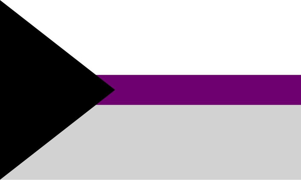 Demisexual flag
