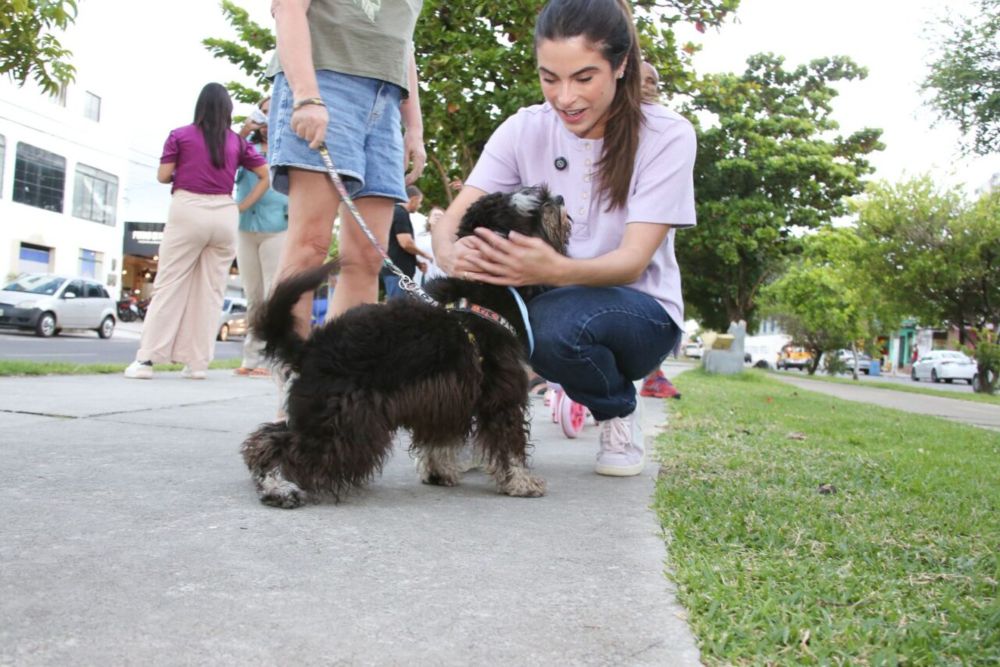 Yandra propõe criação de Hospital Público Veterinário em Aracaju e ressalta cuidado com animais: “Questão de saúde pública”