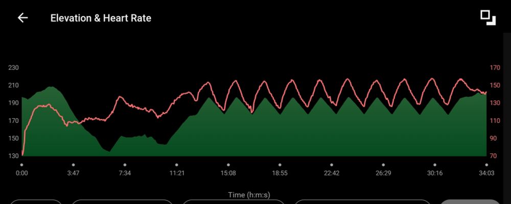 Line graph showing heart rate and elevation during a running activity. Lines have matching distinctive sawtooth patterns that could only come from running hill repeats.