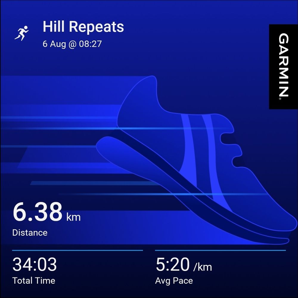 A stylised picture of a running shoe with running stats overlayed for a run titled Hill Repeats. 6.38k. Distance, 34:03 total time, 5:20 per km average pace.