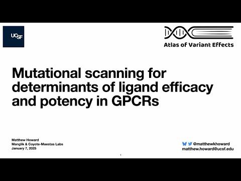 "Mutational scanning to understand ligand efficacy and potency in GPCRs"- Matthew Howard