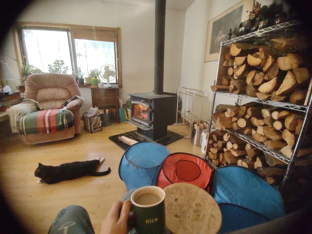 a POV of where im sitting on the couch in my living room looking at a toasty little fire in a wood burning stove, a big stack of wood on the shelf beside me, a fluffy cat sprawled on the floor, and a coffee mug dead center held by me. this place (a mobile home with an addition) was my childhood home and it sat unoccupied for 20 years, until the vagaries of fate tore down the miserable little life i'd made in the Big City (Edmonton lmao) and inveigled me to either rebuild these ruins with my own two hands or live in an RV until i died