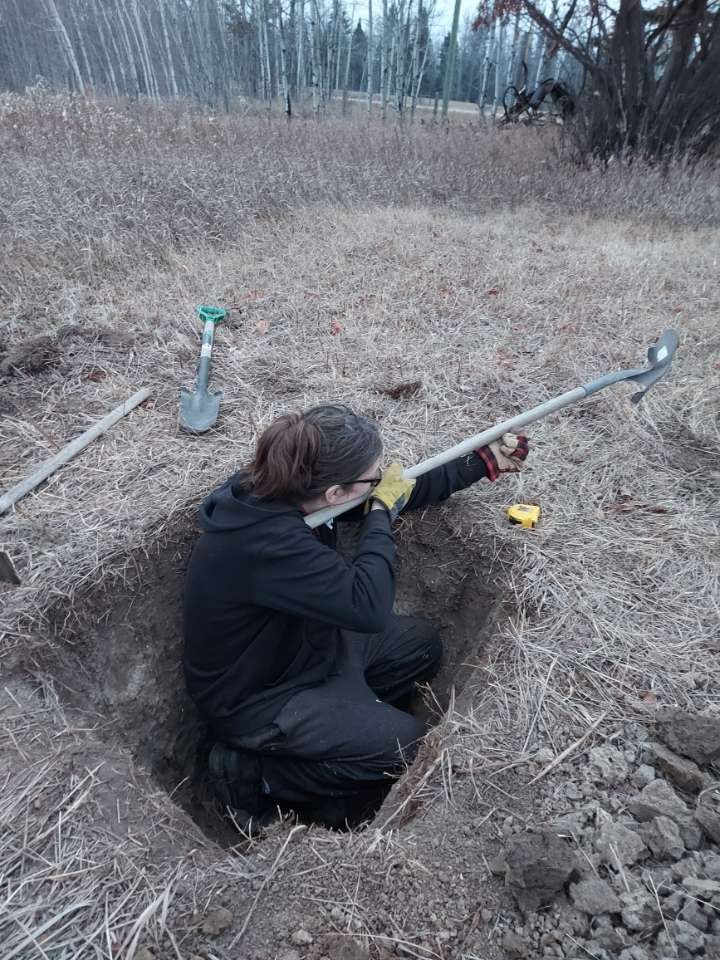 a pale figure clad in tattered filthy rags crouches in a freshly-dug pit approx 3 foot deep and is holding a shovel in her grimy little paws as if it were a Lewis gun and they're on same nameless front in 1915 Belgium -- but that is just a trompe l'oeil because it is actually ME in the hole, which is a grave, that i dug so's i can properly bury my mom's cats ashes 😮‍💨 they were very nice kitties who died too young, RIP