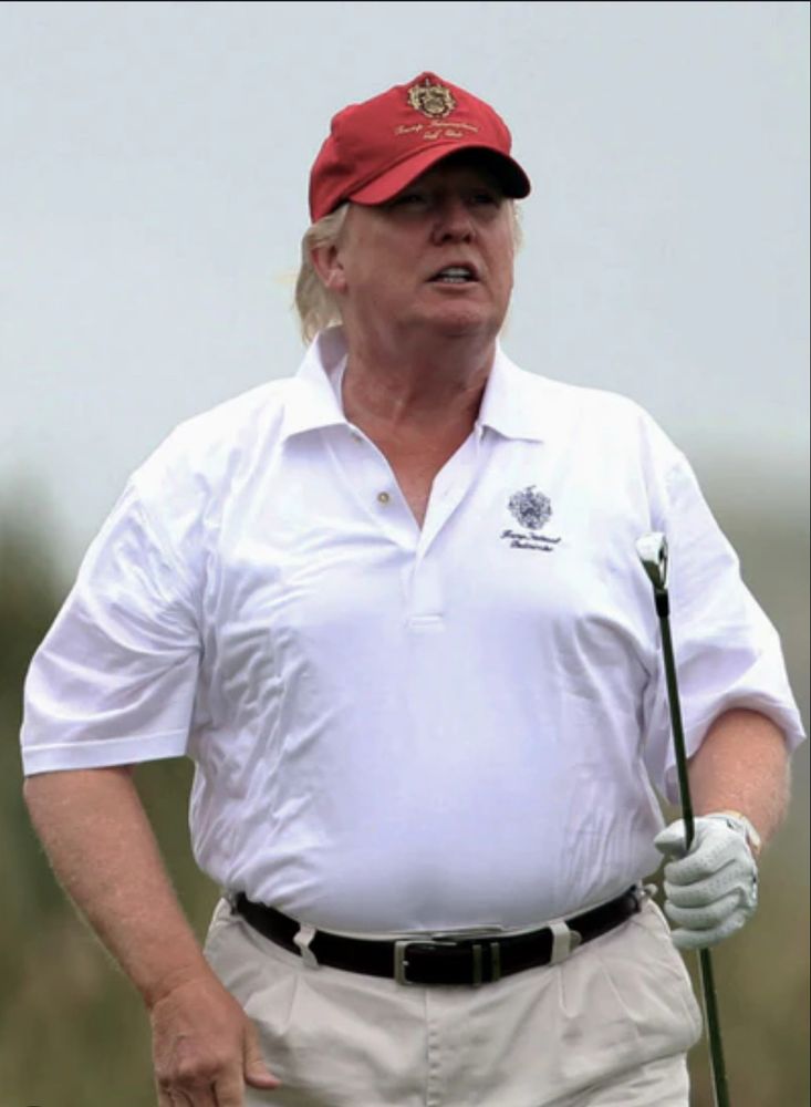 Picture of a disgusting orange felon rapist who is a complete moron and ruining the USA but seems to be consumed with Sen Adam Schiff’s appearance 