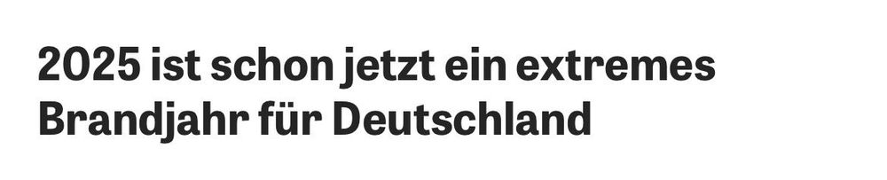 Schlagzeile: 2025 ist schon jetzt ein extremes Brandjahr für Deutschland 