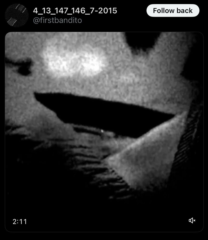 screenshot of new firstbandito account of video they posted w a reversed clip of a song presumably pretending to be blurryface/tyler joseph 