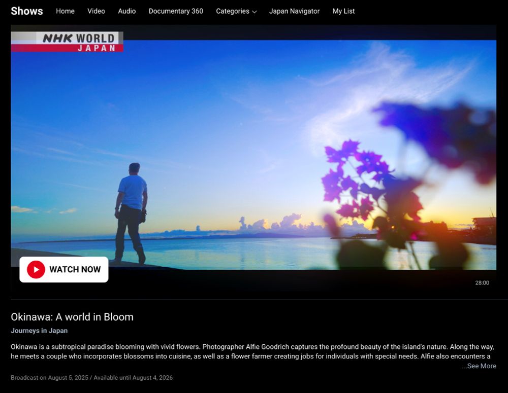 Screenshot of the NHKWorld website, showing the title shot of the programme I made down in Okinawa and Ishigaki recently. This was a lovely sunset spot down by the harbour in Ishigaki. Just across the road from the 88 Steak House. 