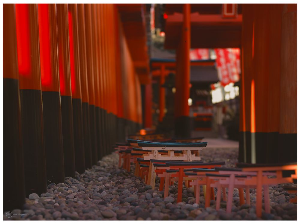 The large red torii gates and the little tiny ones, which are ones that used to be in the back of one of the rooms of the shrine before they renewed it. Which people had bought for luck, then brought back to cast into a room at the end of the year. To then buy another little gate for the next new year's luck. When the shrine was renewed a few years back, they totally redesigned everything and used the old gates outside like this. Hasselblad 503CW, CFV50c digiback and Zeiss-Planar 80mm f/2.8.