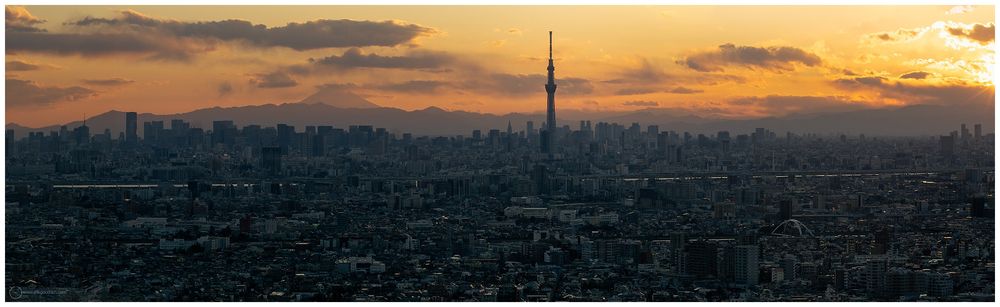 Stitched panorama of the view of Tokyo from the i-Link Tower in Ichikawa, Chiba. This 43floor viewing deck is one of the best views of the city on a good day. Here we see the Skytree almost dead centre in the composition. With distant Shinjuku skyscrapers behind. Mount Fuji is in the very back of the left hand side of the frame. Orangey sky. Lots of clouds. The top of Fuji is covered by clouds. Just close to sunset. 