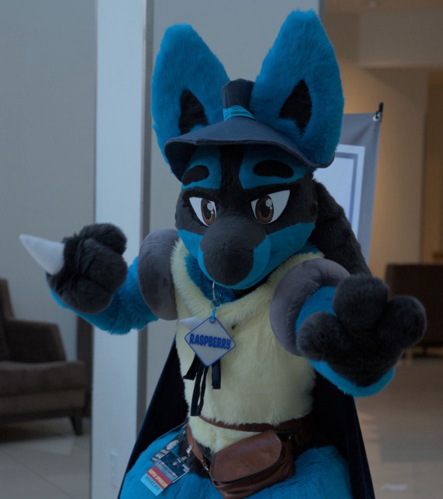 Lucario fursuit wearing a hat and cape poses in a fighting stance 